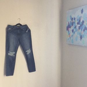 Joe jeans size 27